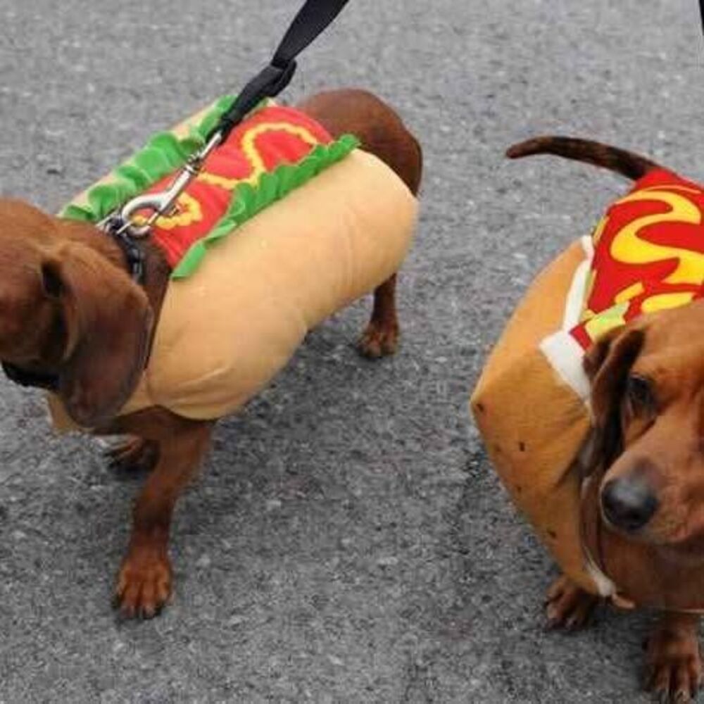 Hot Dog Halloween Costumes Pet Hot Dog Costume Funny Dog Costume